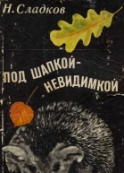 Под шапкойневидимкой