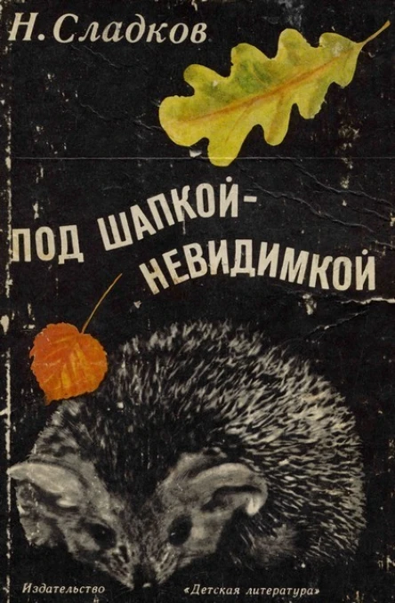 Под шапкойневидимкой