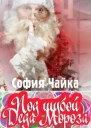 Под шубой Деда Мороза