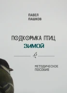 Подкормка птиц зимой