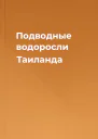 Подводные водоросли Таиланда