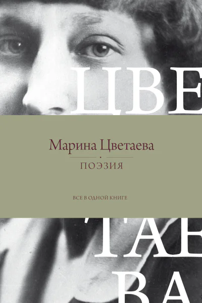 Поэзия Все в одной книге