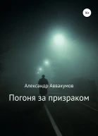 Погоня за призраком