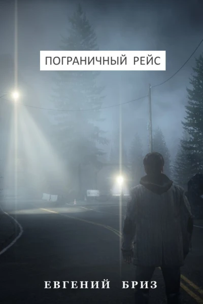 Пограничный рейс СИ