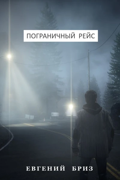 Пограничный рейс