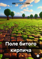 Поле битого кирпича