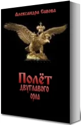 Полёт двуглавого орла СИ