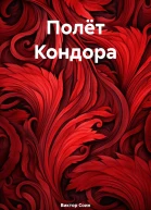 Полёт Кондора