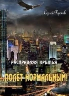 Полет нормальный СИ