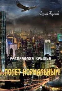 Полет нормальный СИ