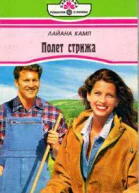 Полет стрижа