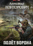 Полёт ворона