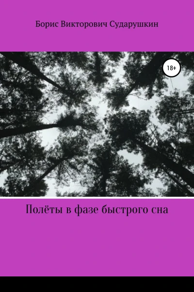 Полёты в фазе быстрого сна