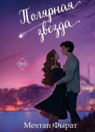 Полярная звезда