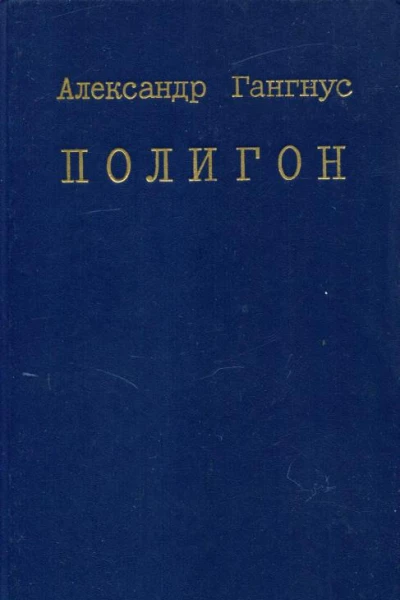 Полигон Роман