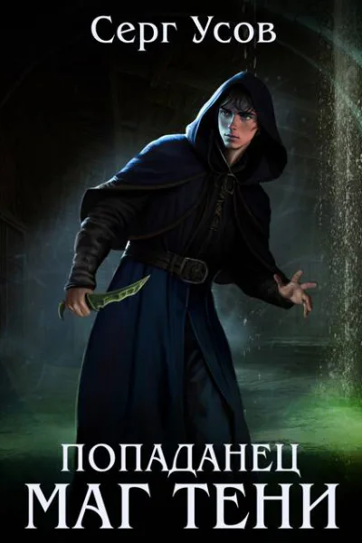 Попаданец Маг Тени Книга 11
