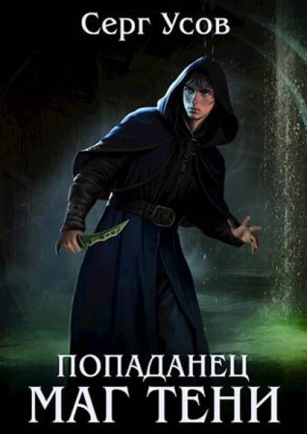 Попаданец Маг Тени Книга 5