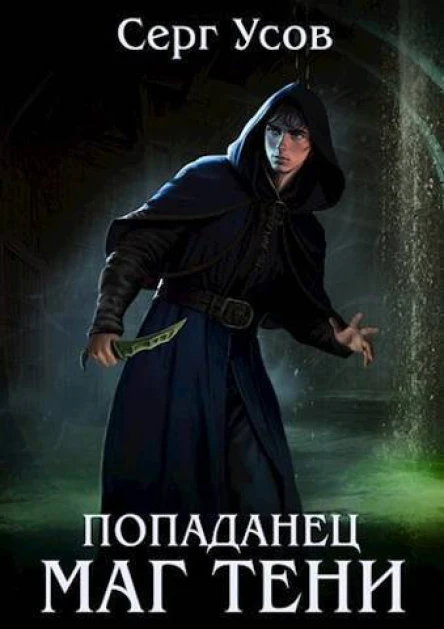 Попаданец Маг Тени Книга 6 СИ