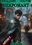 Попаданец с опытом Некромант Том пятый