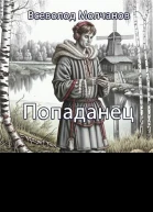 Попаданец СИ