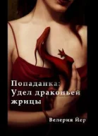 Попаданка Удел драконьей жрицы СИ