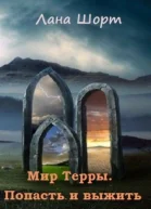 Попасть и выжить СИ