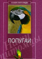 Попугаи