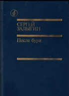 После бури Книга первая
