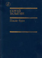 После бури Книга вторая