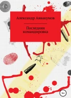 Последняя командировка