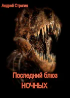 Последний блюз ночных СИ