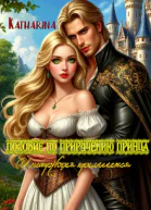 Пособие по приручению принца Инструкция прилагается