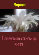 Потерявшие сокровище Книга 1 СИ