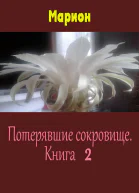 Потерявшие сокровище Книга 2 СИ