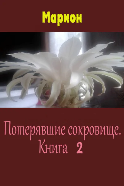 Потерявшие сокровище Книга 2 СИ