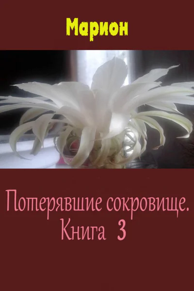 Потерявшие сокровище Книга 3 СИ