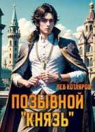 Позывной Князь СИ