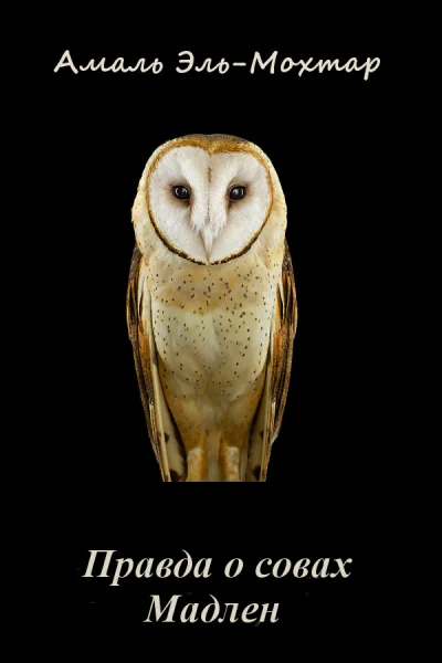 Правда о совах Мадлен