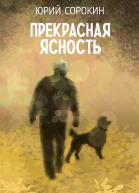 Прекрасная ясность