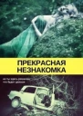 Прекрасная незнакомка СИ