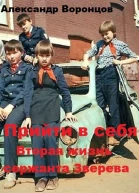 Прийти в себя Вторая жизнь сержанта Зверева
