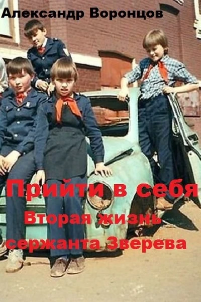 Прийти в себя Вторая жизнь сержанта Зверева
