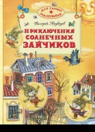 Приключения солнечных зайчиков