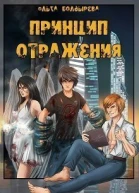 Принцип отражения СИ