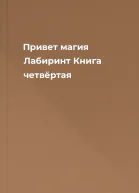 Привет магия Лабиринт Книга четвёртая