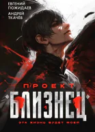 Проект Близнец