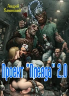 Проект Плеяда 20