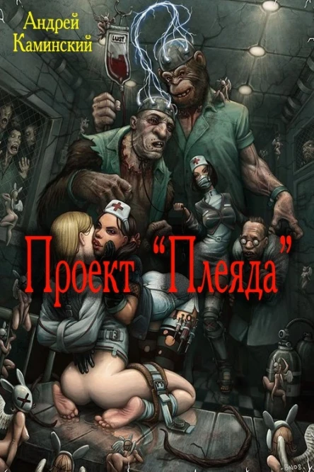 Проект Плеяда СИ