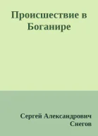 Происшествие в Боганире