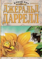 Птицапересмешник Новый перевод